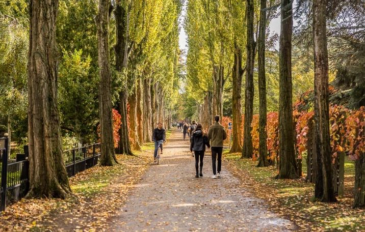 Struenseegade, kontorlejemål, erhvervslokaler til leje, kontor til leje